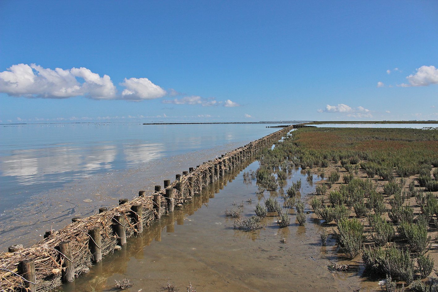 noard fryslan butendyks