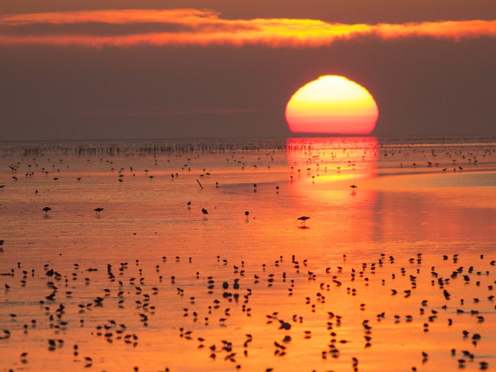 noard fryslan butendyks