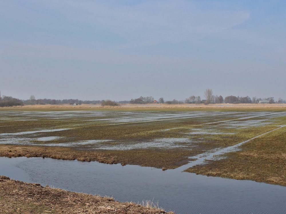 noarderkrite petgatten de feanhoop