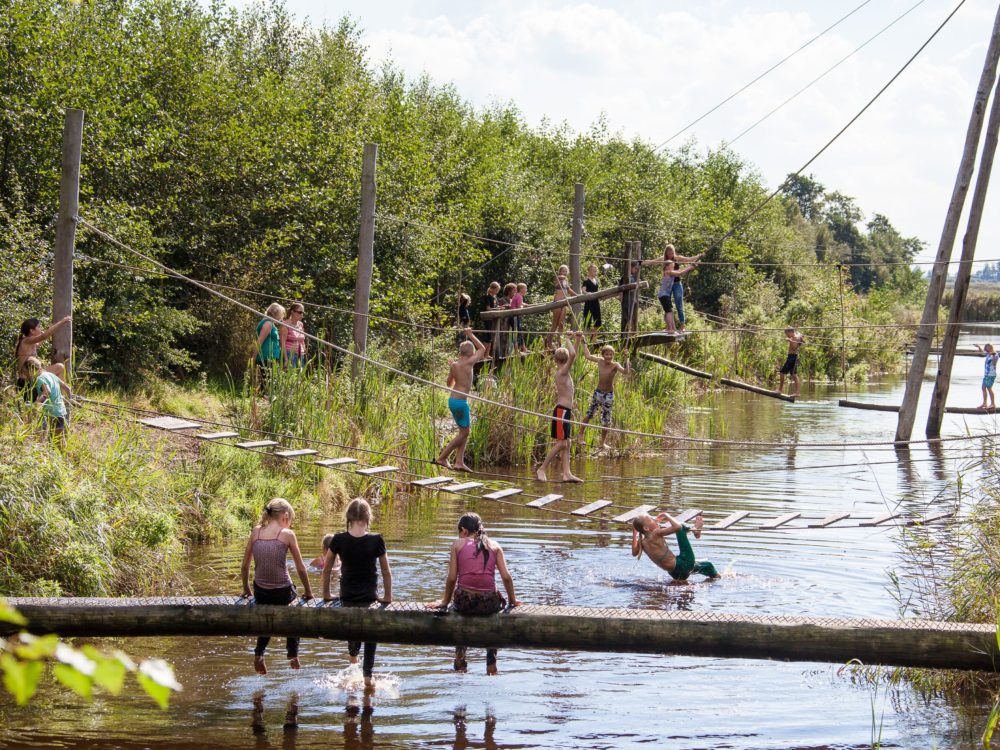 Pettebosk kids alde feanen