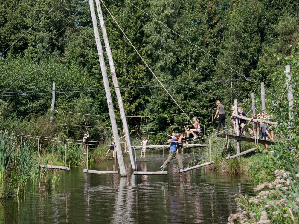 Pettebosk kids alde feanen