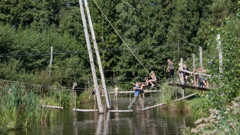Gebied: Pettebosk