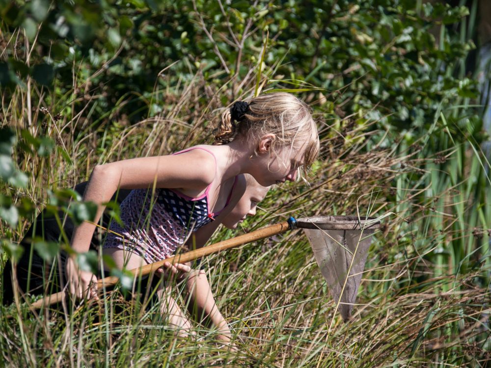 waterdiertjes kids