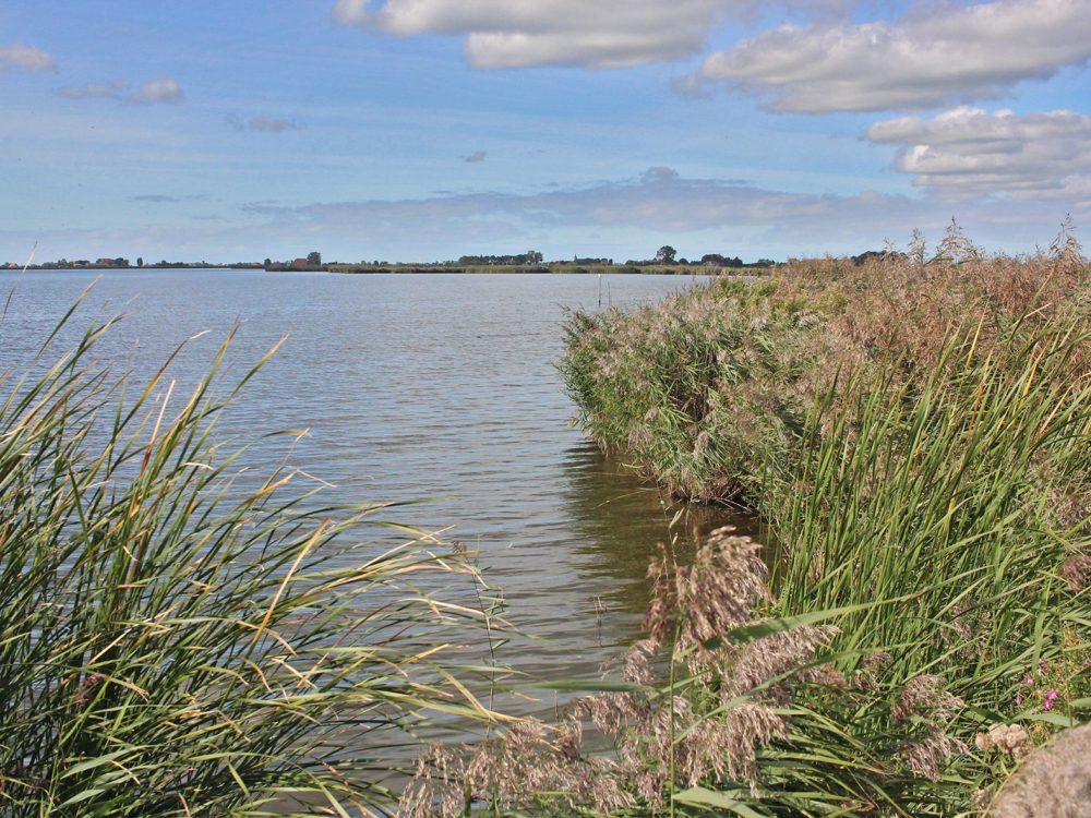 ringwiel en hop