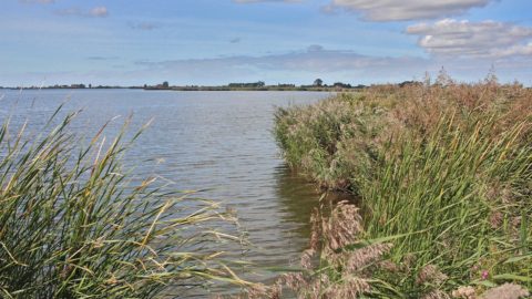 Gebied: Ringwiel en Hop