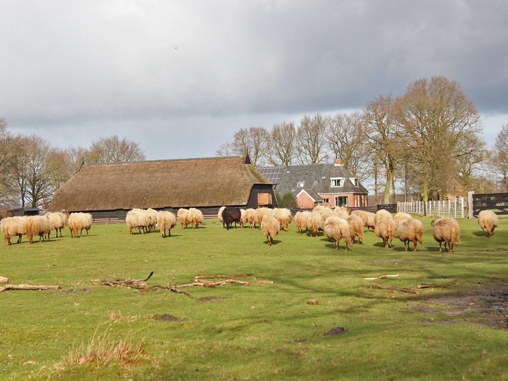 schaapskooi bakkeveen mandefjild