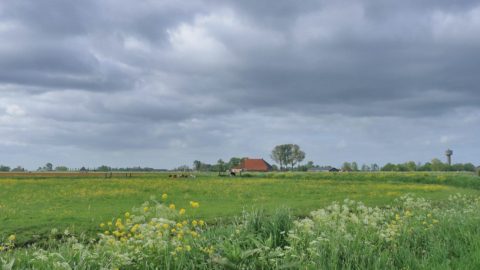 Gebied: Soarremoarsterpolder