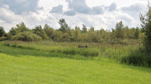 Gebied: Stokersdobbe