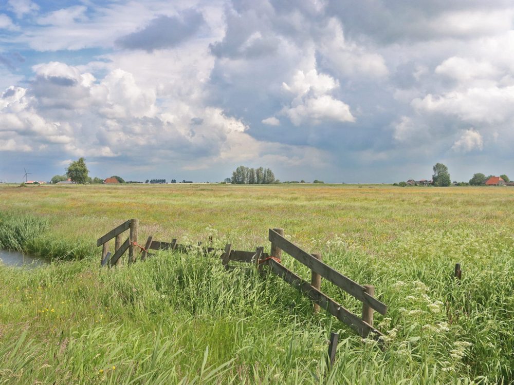 aeltjse en warkumermar