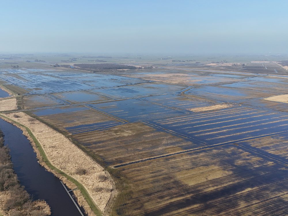 alde feanen wyldlannen