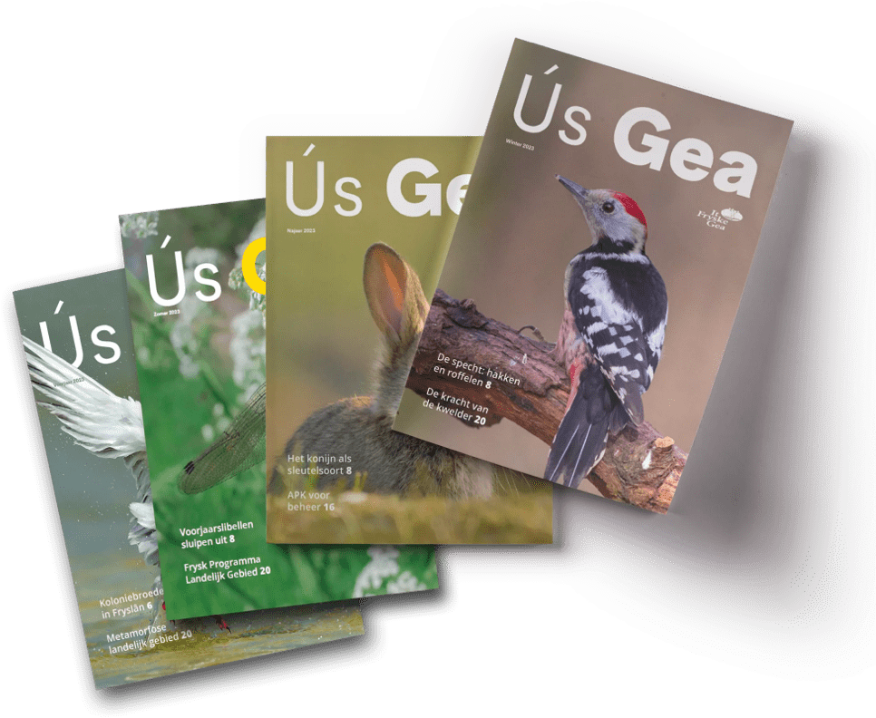 us gea it fryske gea