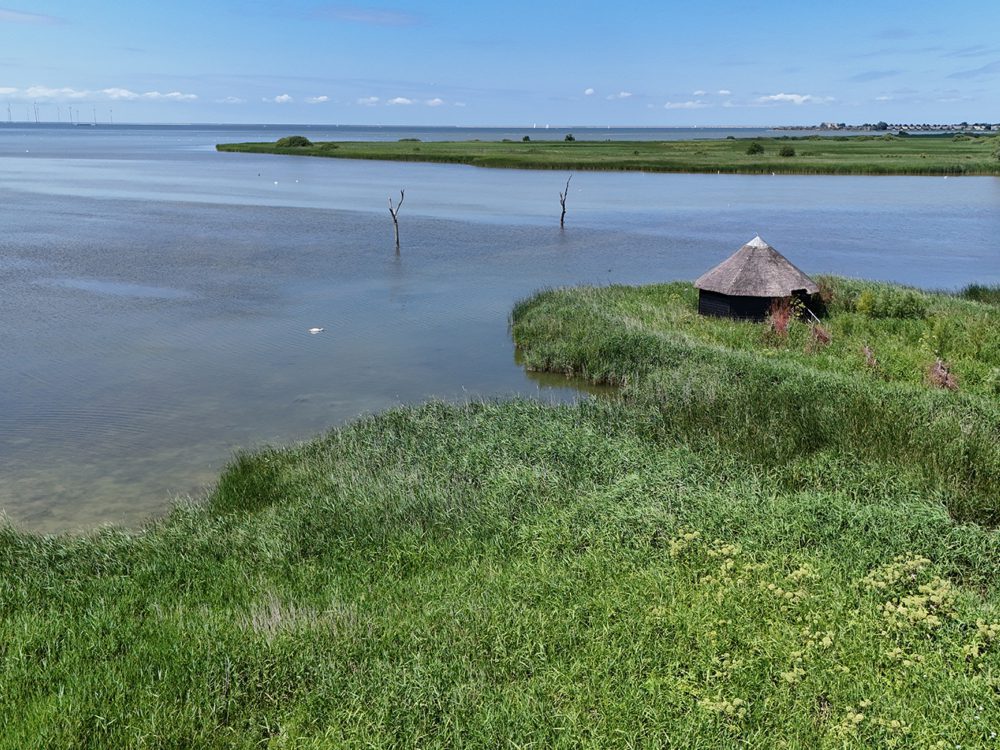 koaiwaard vogelkijkhut De Ral makkumerwaarden