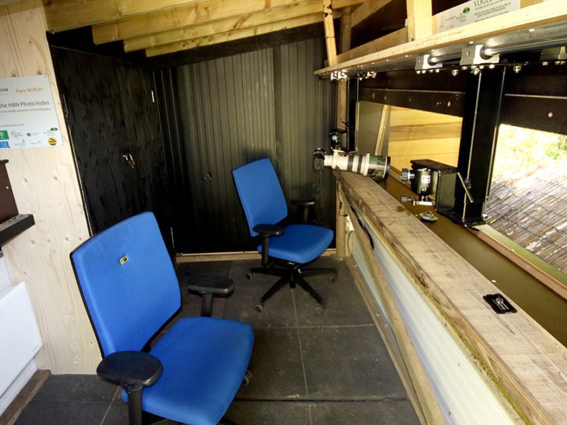 Fotohut Rysterbosk