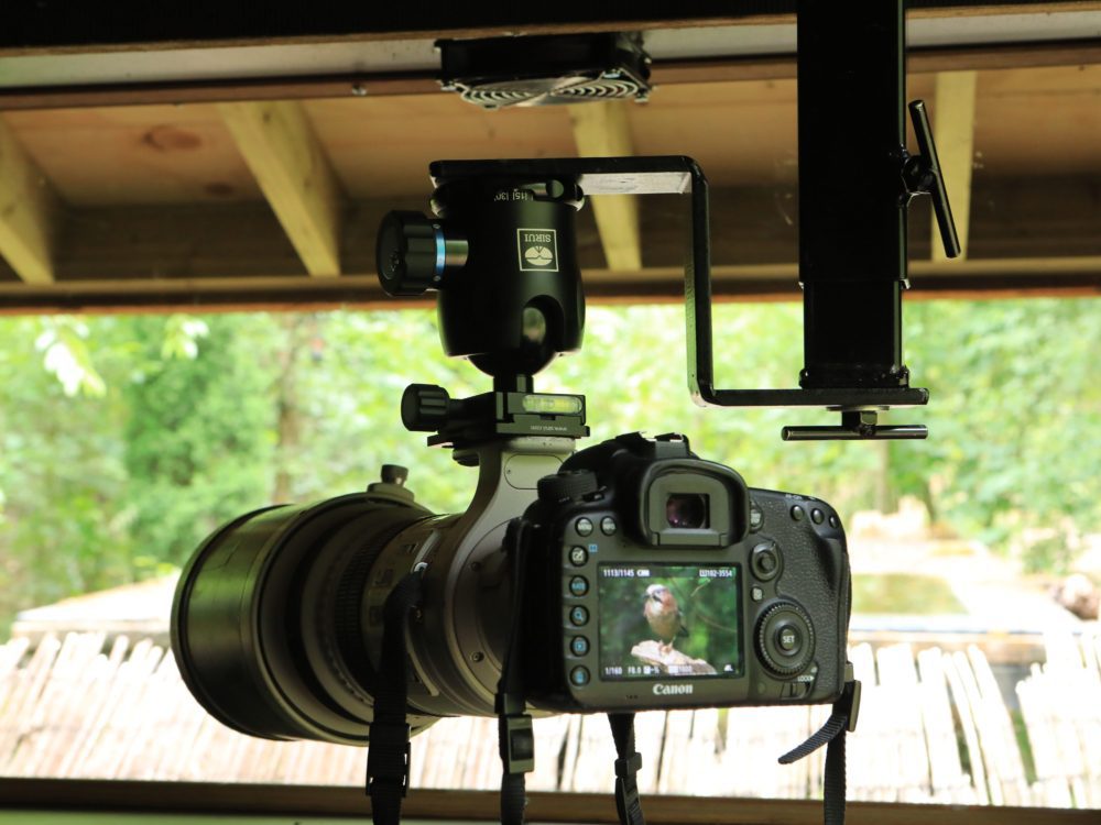 Fotohut Rysterbosk