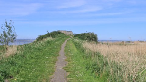 Uitkijkpunt It Soal warkumerwaard