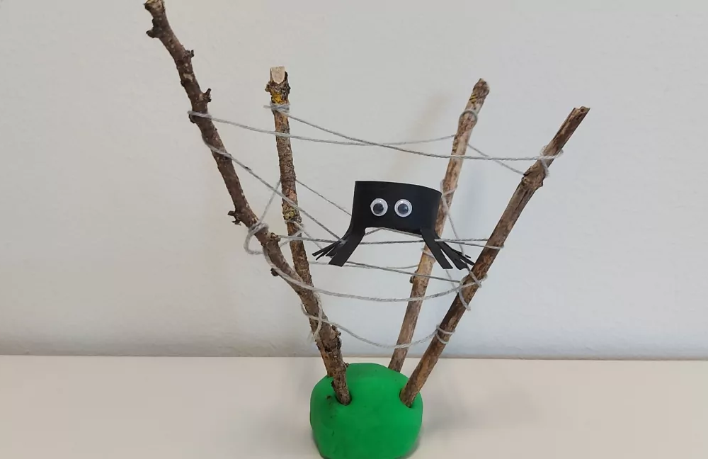 spin in het web kids