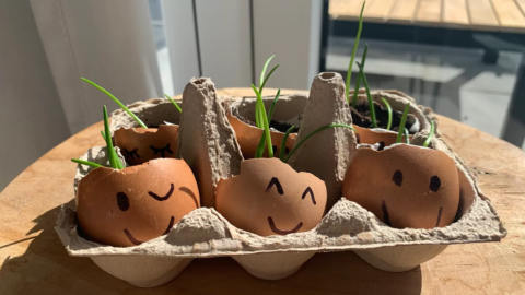 kruidenpoppetje kids