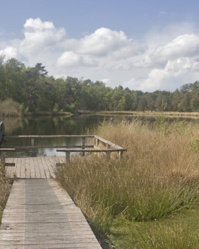 Libellenvlonder Catspoele lendevallei