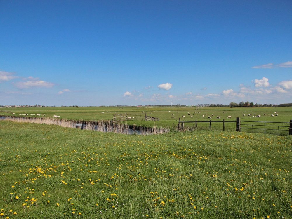 sudermarpolder