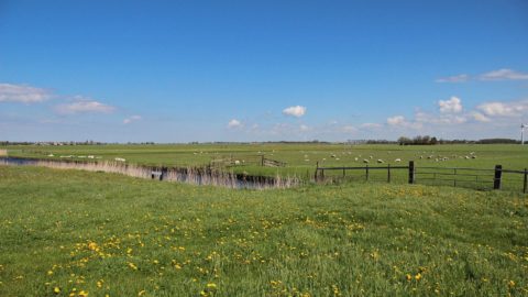 Gebied: Súdermarpolder