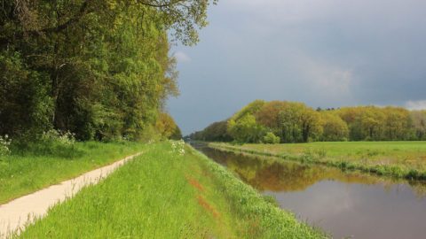 Gebied: Tsjongerwâlen