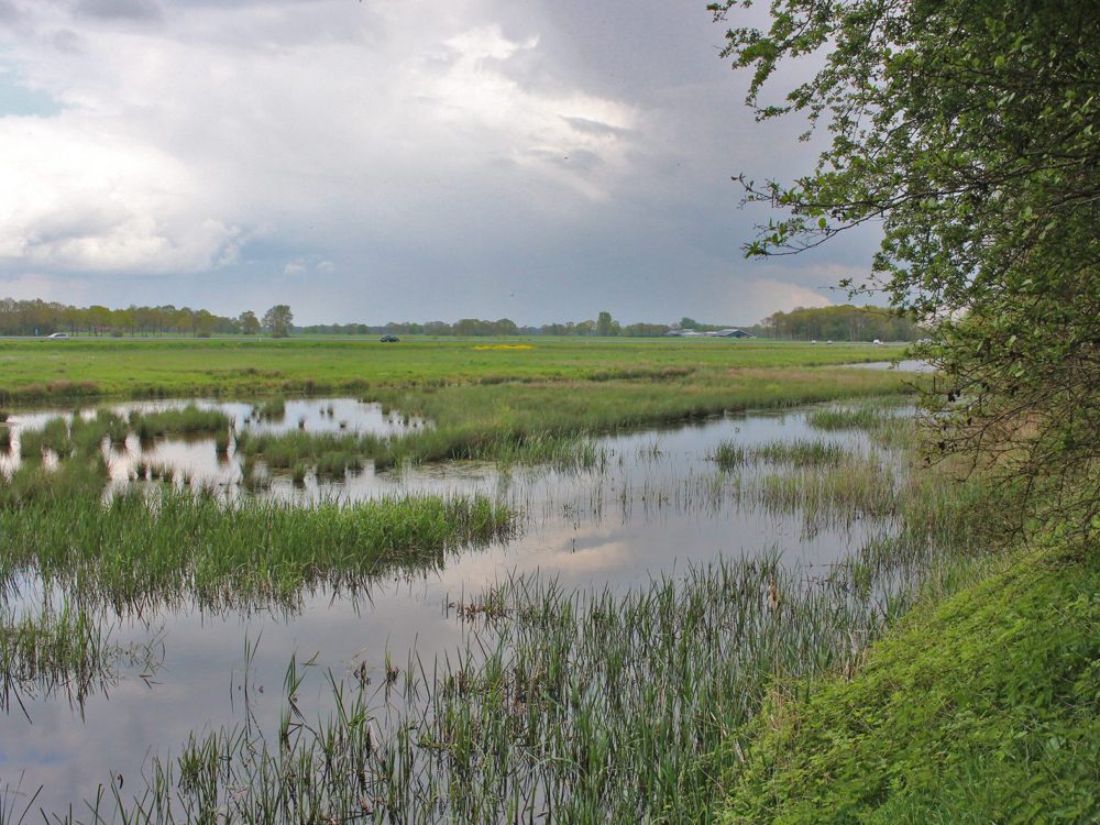 tsjongerwalen donkerbroek