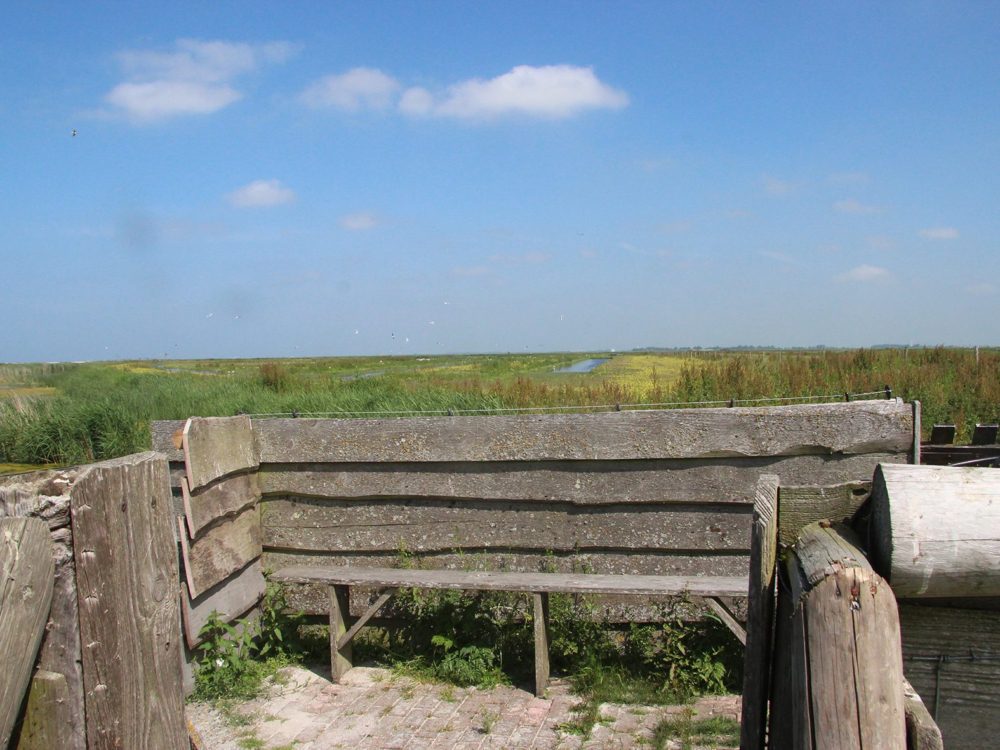 Uitkijkpunt Bijenkamp warkumerwaard