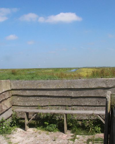 Uitkijkpunt Bijenkamp warkumerwaard