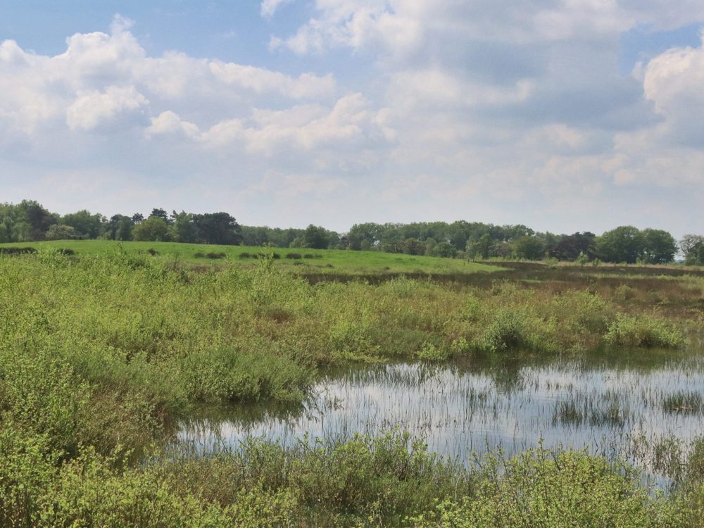 Uitkijkpunt Delleboersterheide