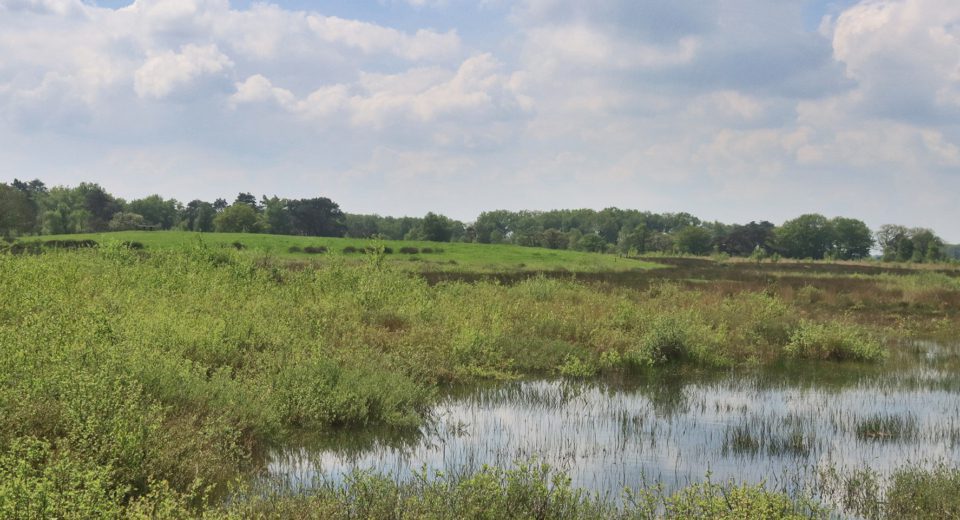 Uitkijkpunt Delleboersterheide