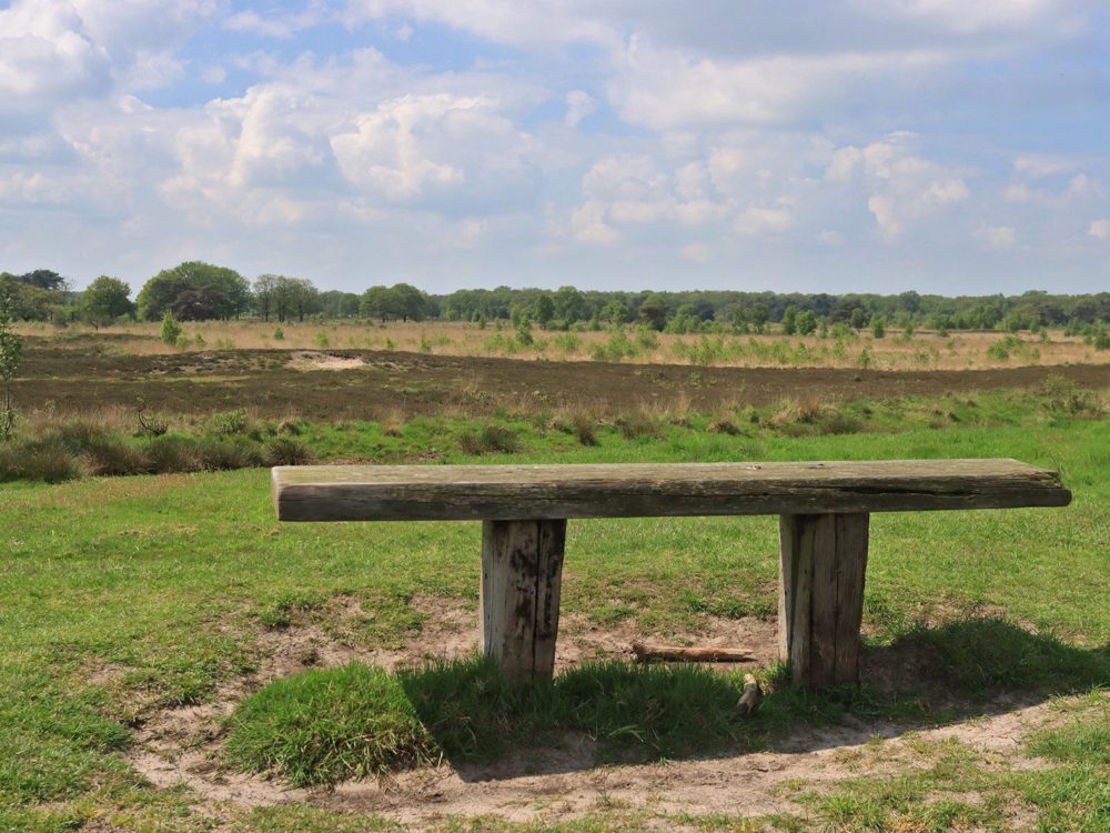 Uitkijkpunt Delleboersterheide