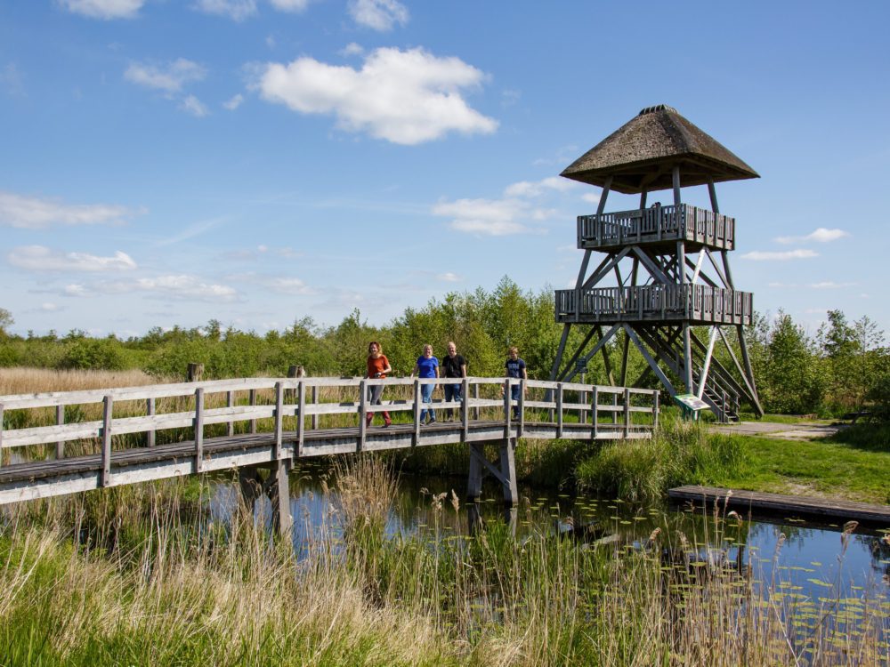 Uitkijktoren Romsicht alde feanen