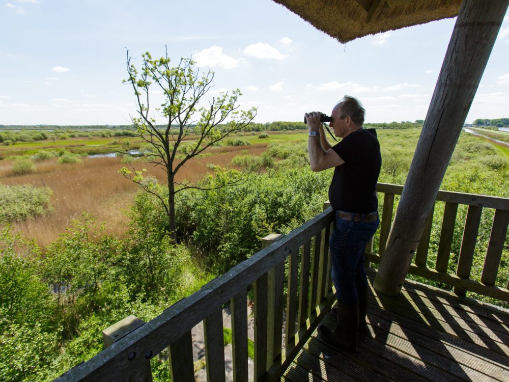 Uitkijktoren Romsicht alde feanen