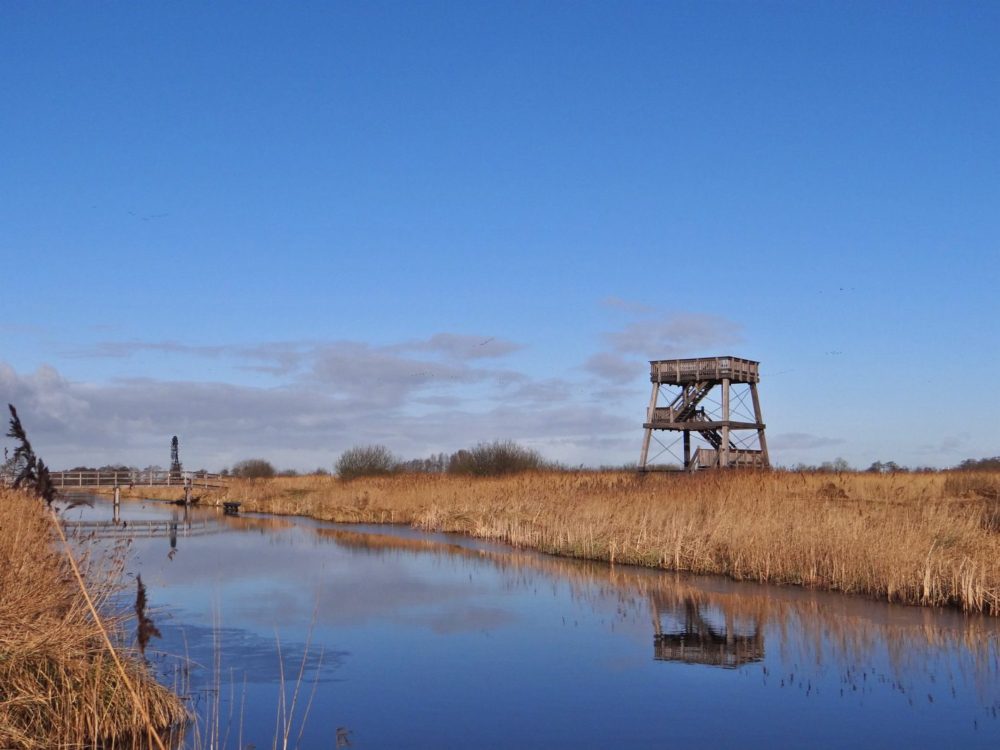 Uitkijktoren Earnesleat alde feanen