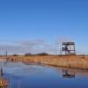 Foto-excursie It Wikelslân