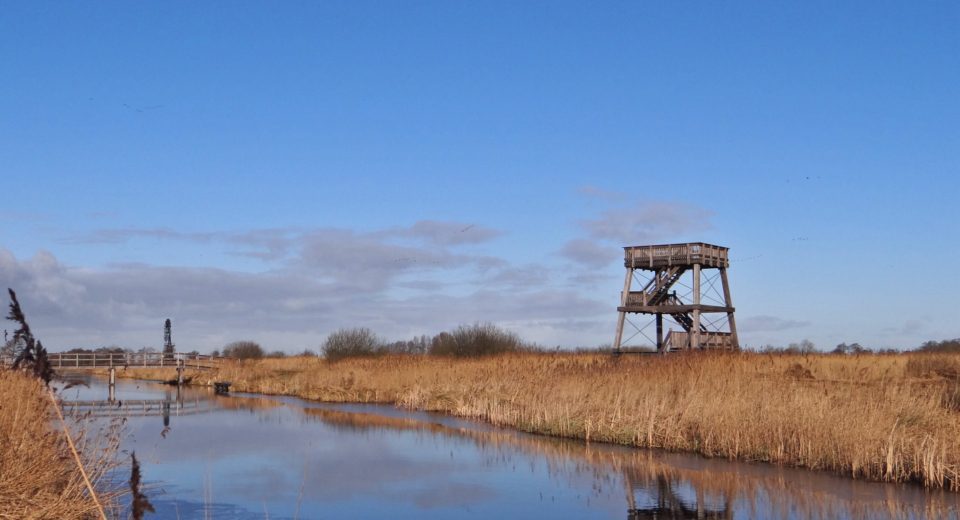 Foto-excursie It Wikelslân