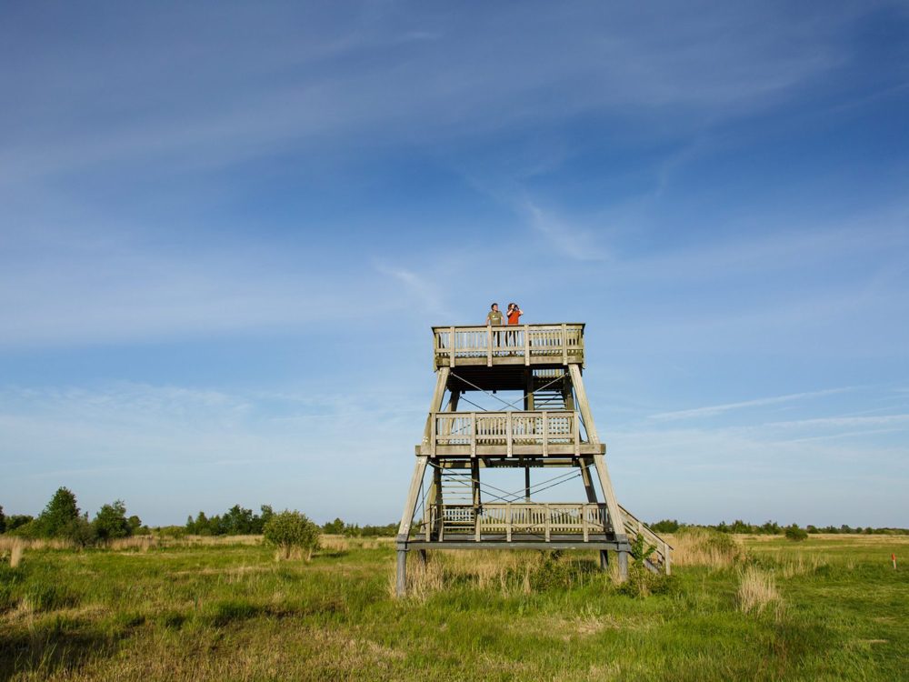 Uitkijktoren Earnesleat alde feanen