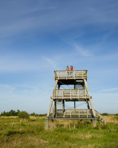 Uitkijktoren Earnesleat alde feanen