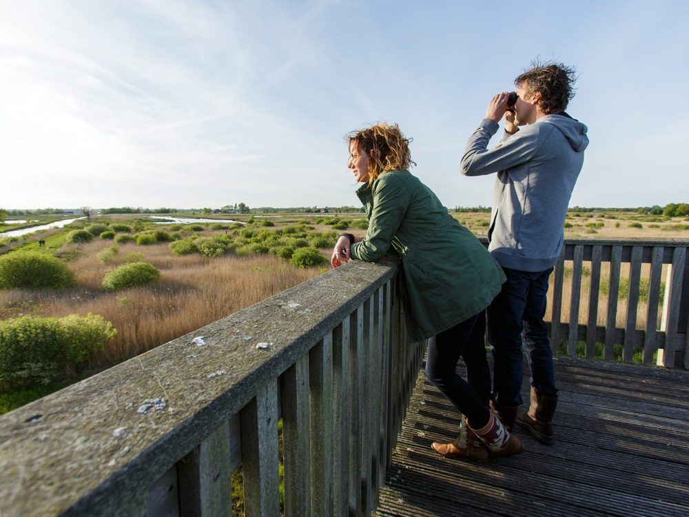 Uitkijktoren Earnesleat alde feanen