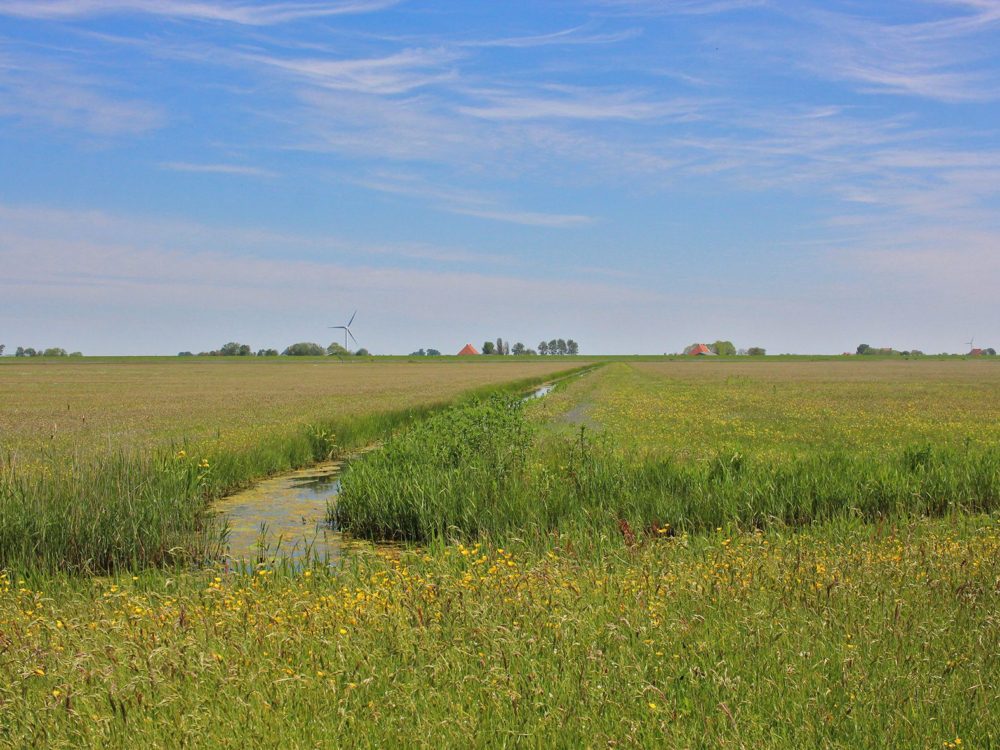 warkumerwaard binnenwaard
