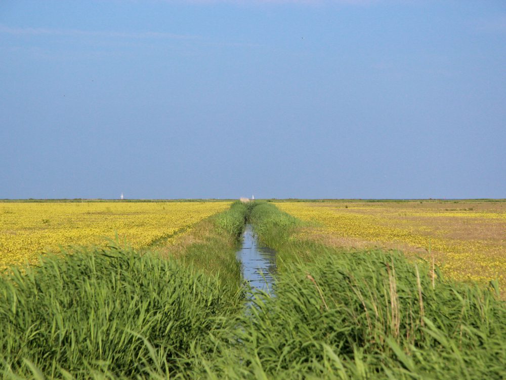 warkumerwaard binnenwaard