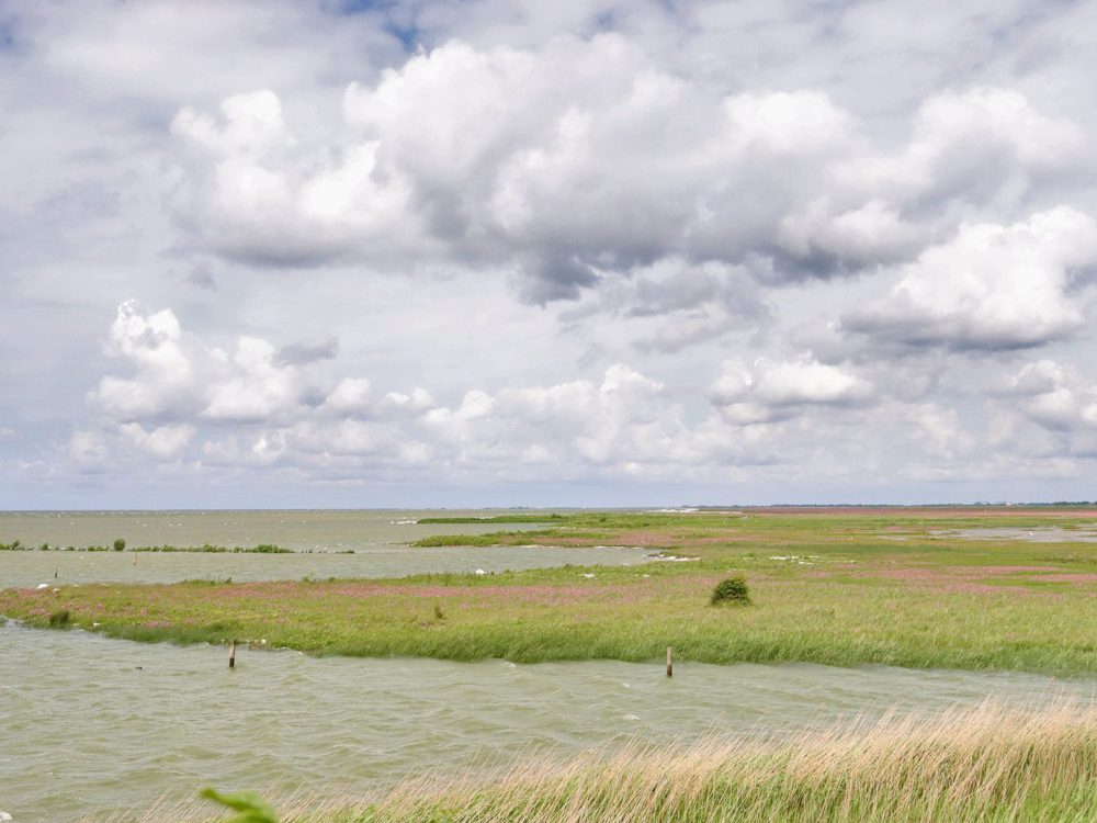 warkumerwaard butenwaard
