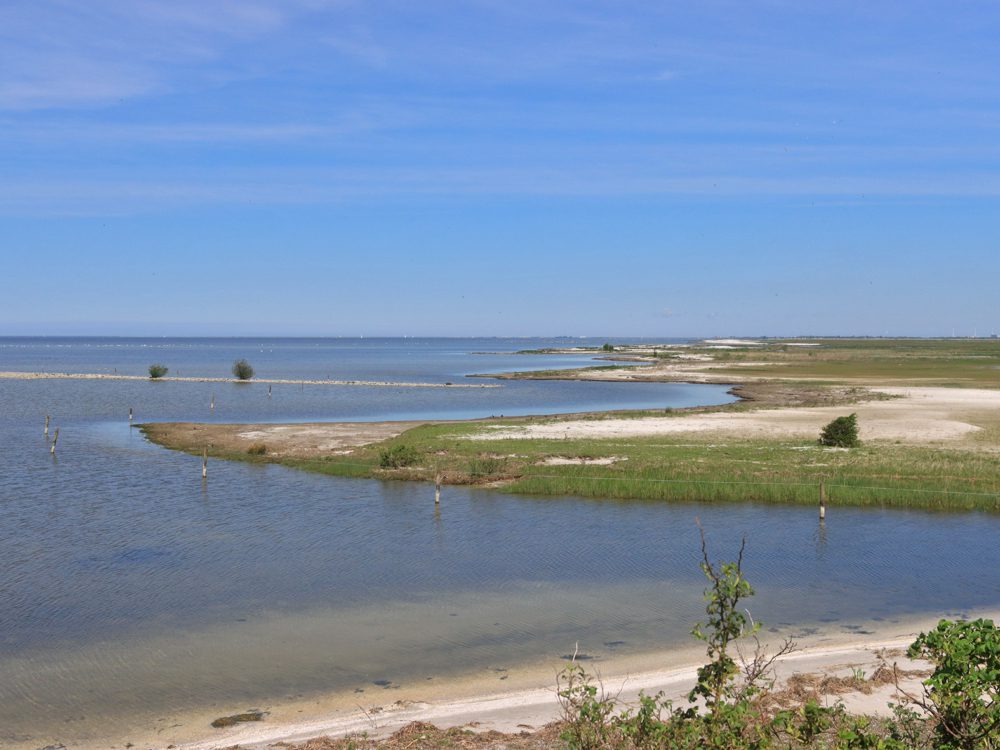 warkumerwaard butenwaard