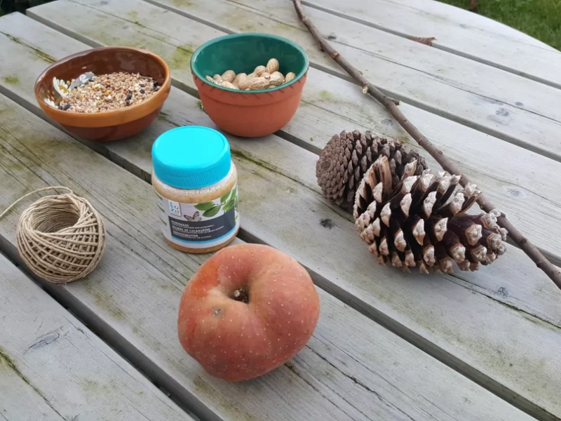 wintervogel snack kids