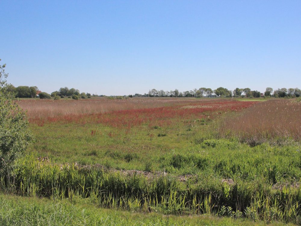 Ychtenerfeanpolder
