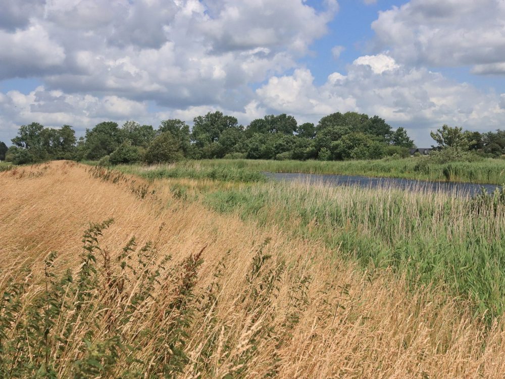 Ychtenerfeanpolder