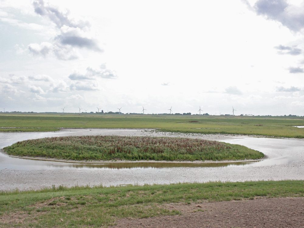 Kijkscherm Noarderleech