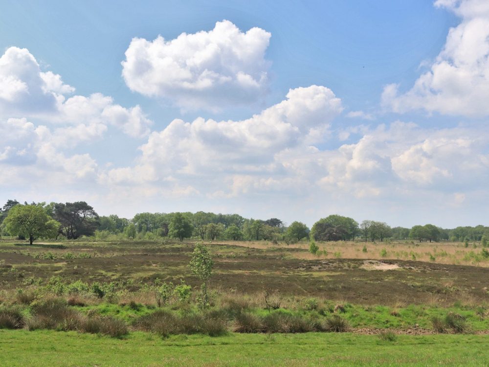 Uitkijkpunt Delleboersterheide