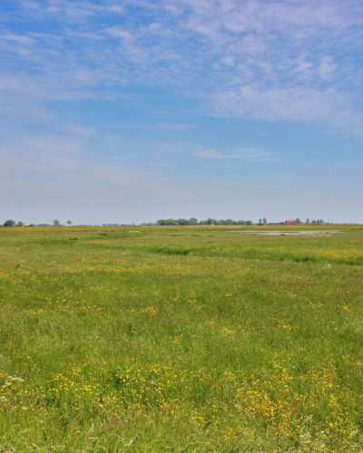 uitkijkpunt koarnwerterpolder