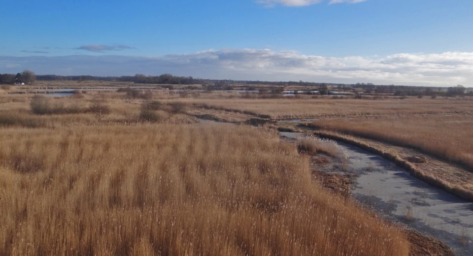 Uitkijktoren Earnesleat alde feanen